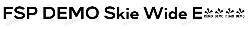 FSP DEMO Skie Wide E字体转换
